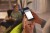 ceca1b0833c6d95f80f11333ccdb3f5e.jpg