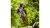 9485ee04e69a0ab15b5503bba5d033bd.webp