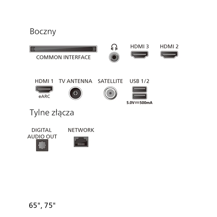 P13 Connectors 65 75.jpg