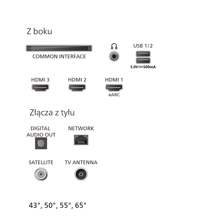 7001-Power-Images-43-50-55-65-inches_PL-P12-Connectors-43-50-55-65.jpg